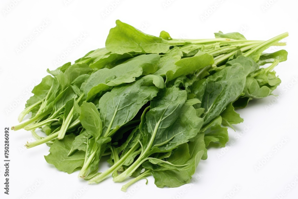 Dandelion greens, vegetable , white background. Dandelion greens, vegetable , white background.