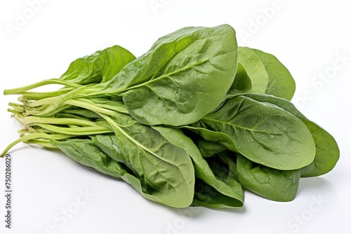 Malabar spinach, vegetable , white background.