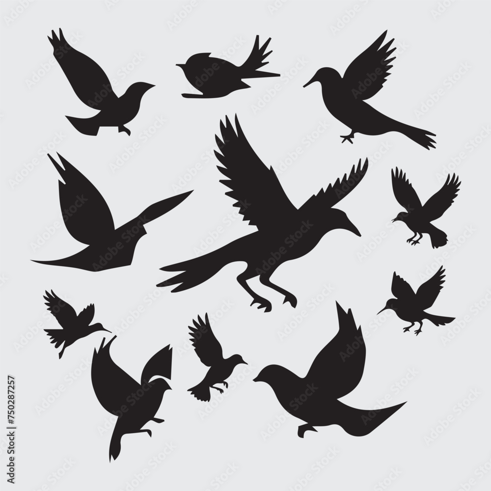 Obraz premium set of silhouettes of birds