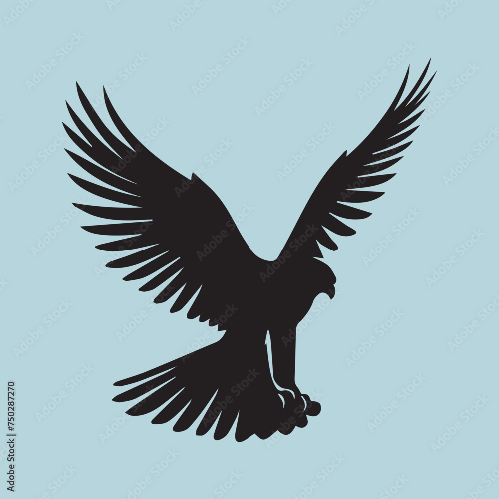 Fototapeta premium eagle flying in the sky