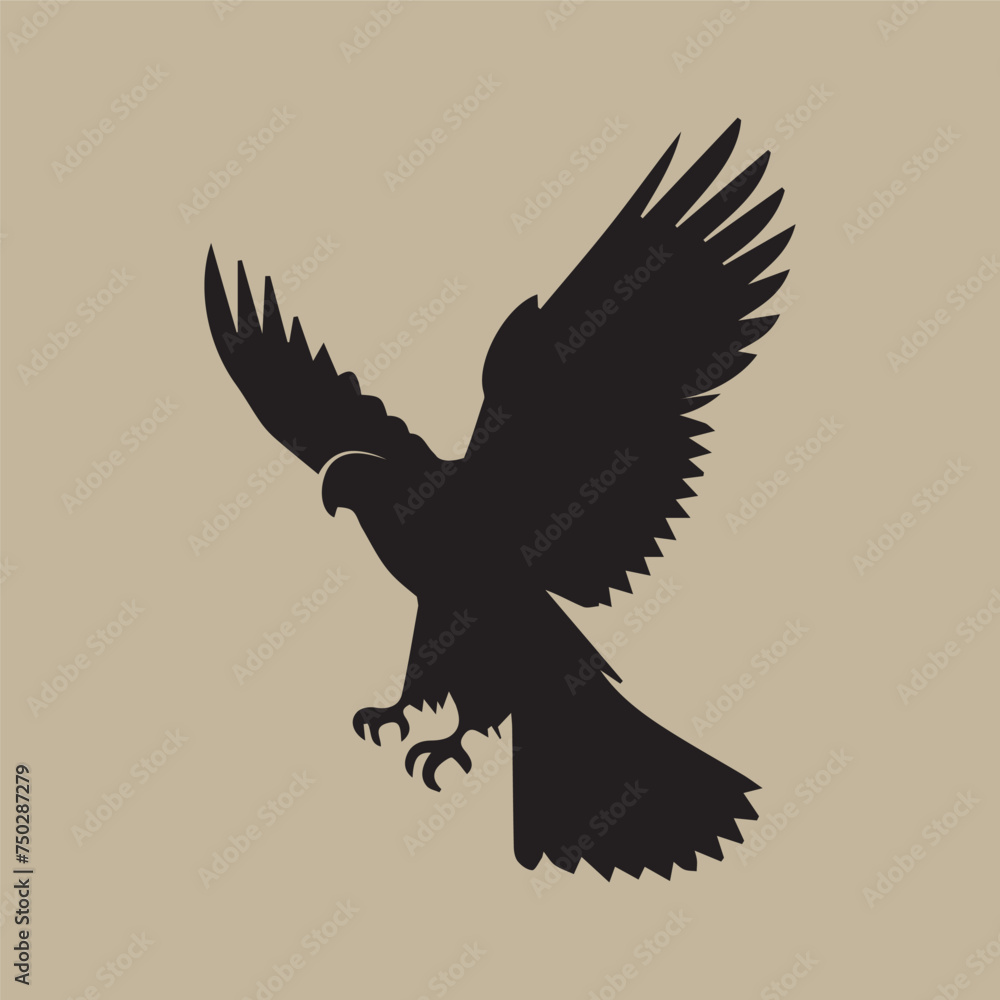 Obraz premium bald eagle in flight