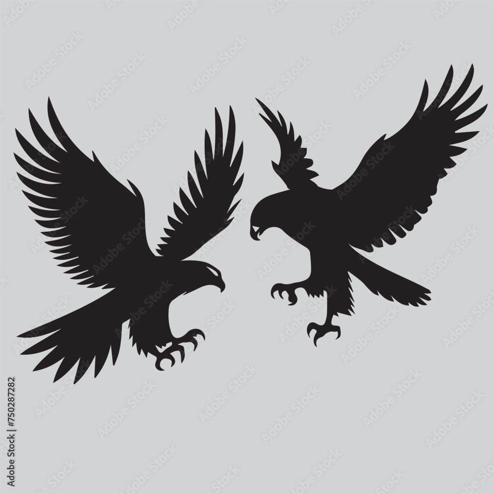 Obraz premium eagle with wings