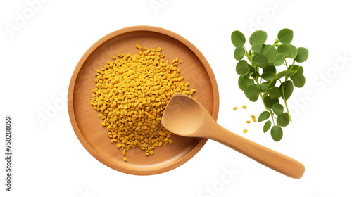 spice fenugreek Trigonella foenum, Isolated on transparent PNG background, Generative ai