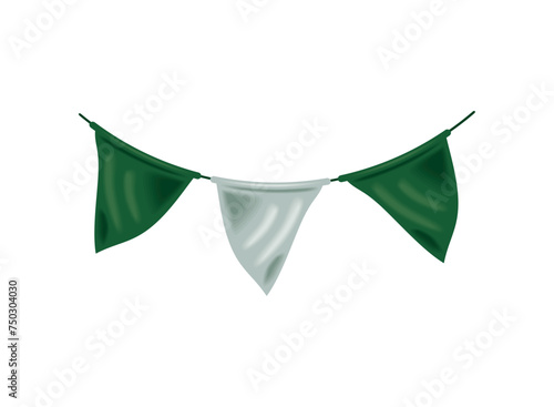 pakistan day festive