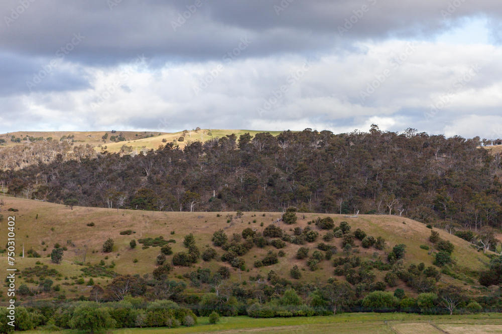 Landscape Scenery on The Heritage Highway, Tasmania