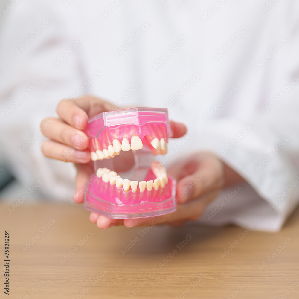 Dentist with tooth Anatomy model. Oral Teeth and disease, Scrape off