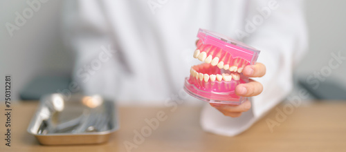 Dentist with tooth Anatomy model. Oral Teeth and disease, Scrape off tartar. March Oral health, Dentist Day, False Teeth. Toothache and Children Dental Health Month and Orthodontic Health Day