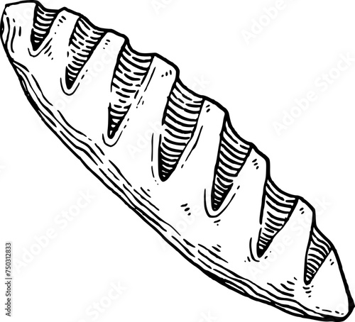 Baguette hand drawn illustration.