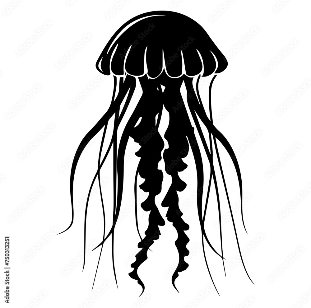 Jellyfish sketch, Hand drawn vector illustration, Sea jellyfish Design elements Jellyfish sketch, Hand drawn vector illustration, Sea jellyfish Design elements