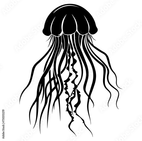 Jellyfish sketch, Hand drawn vector illustration, Sea jellyfish Design elements photo