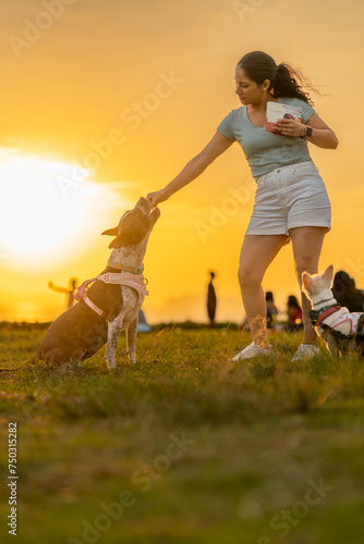 Woman giving her dogs a treat for sitting in the park