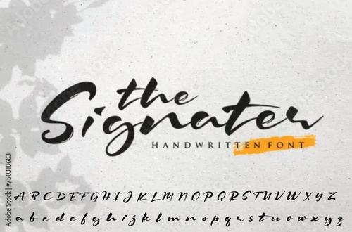 Signature Font Handwritten Script Brush Font Type Font lettering handwritten