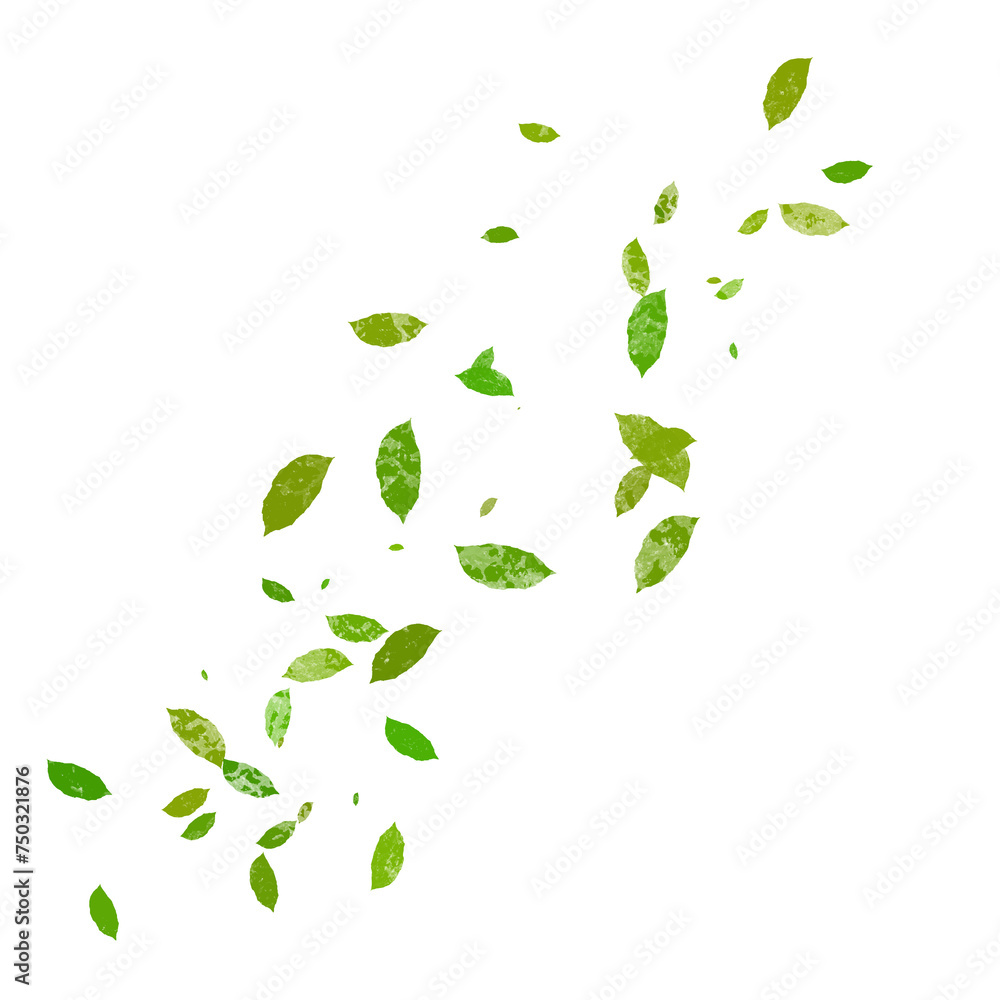 leaves blowing in the wind, Leafs, L leaves falling. leaves blowing in the wind, Leafs, L leaves falling.