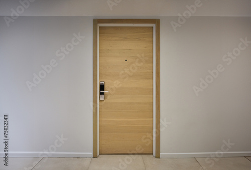 Door way, corridor of apartment with wood door                                                            