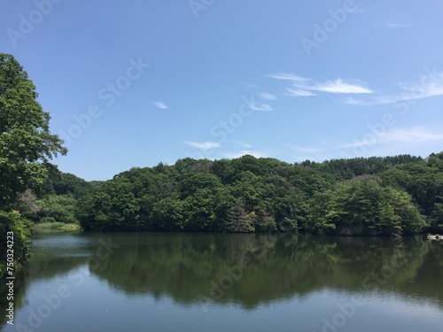 森の中の青空、くろんど池 © yamapyoon