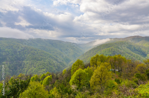 scenic view of Yesil Vadi (Green Valley) near Termal (Yalova, Turkiye)  © ssmalomuzh