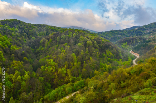 country road in Yesil Vadi (Green Valley) hills in Termal (Yalova, Turkiye)  photo