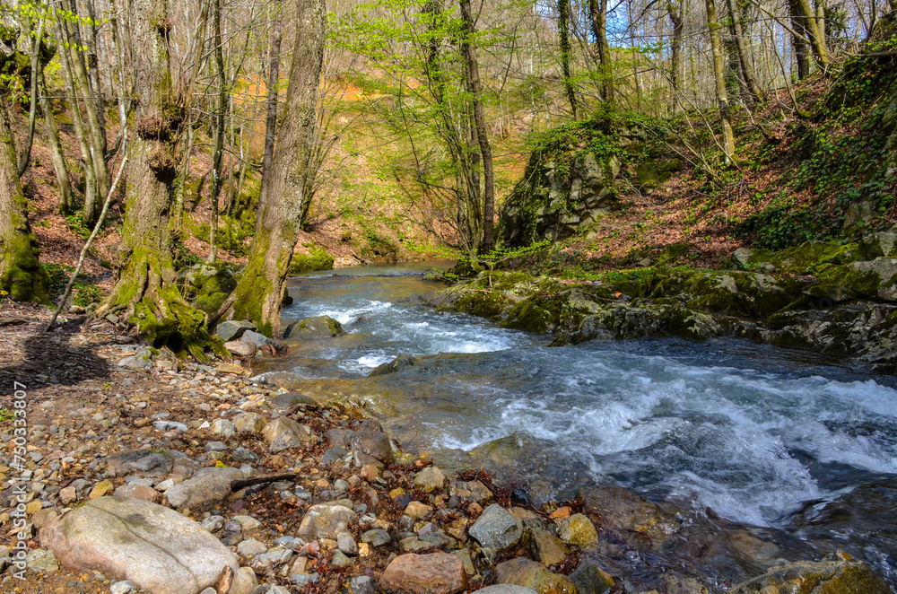 Çağlayan creek in the mountains near Termal (Yalova, Turkey)