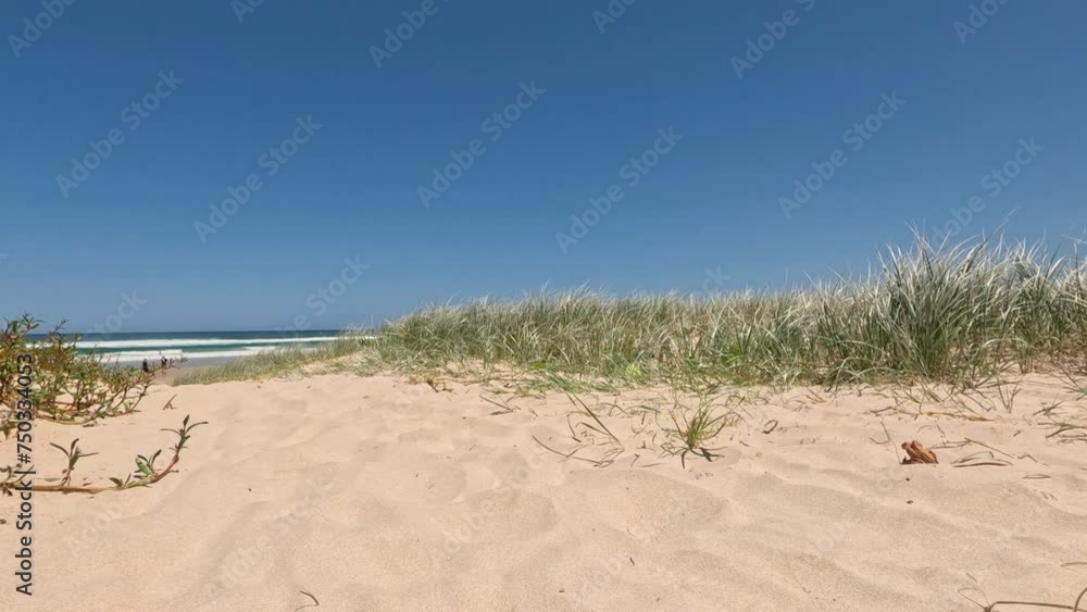 Seaside Dune Walk to Ocean View Seaside Dune Walk to Ocean View