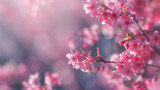 A delicate display of cherry blossoms bathed in soft, dreamy light, evoking a sense of renewal and springtime beauty