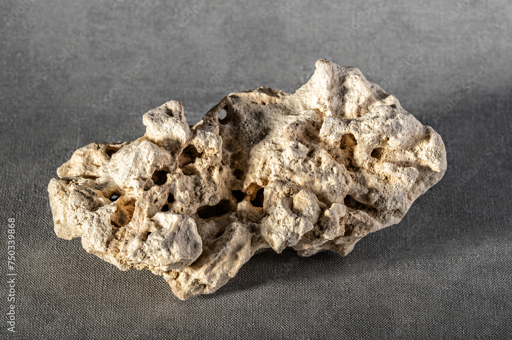White texture stones with natural holes on a grey background. Design element. White texture stones with natural holes on a grey background. Design element.
