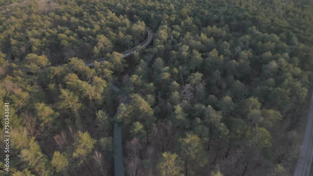 Biking trail in forestry area elevated to tree tops. aerial view Biking trail in forestry area elevated to tree tops. aerial view