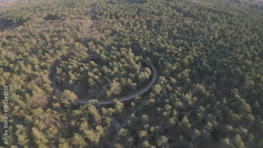 Endless forest landscape with round ride track, aerial drone view Endless forest landscape with round ride track, aerial drone view