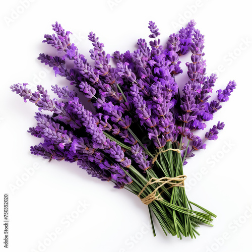 A bouquet of purple flowers with a white background