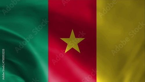 Cameroon flag waving. Loop. 4k photo