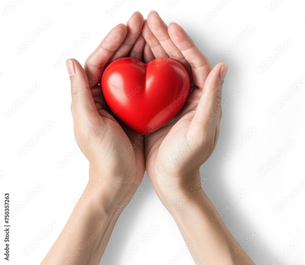 Two Hands Holding a Heart Clipart Isolated on transparent background Two Hands Holding a Heart Clipart Isolated on transparent background