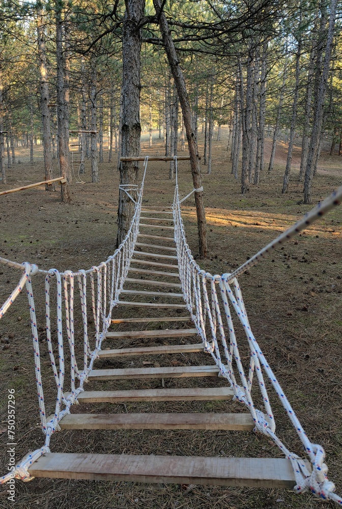 Obraz premium Enchanted woods. The whispering bridge. Adventure park.