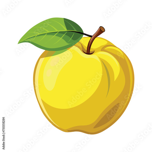 Ripe Quince Fruit Illustration on White Background