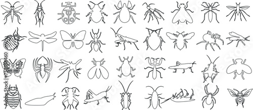 Insect line art collection
