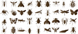 Insect silhouette collection, insects vector illustration. Perfect for entomology, nature projects, educational content. Showcasing diverse insect, bug species