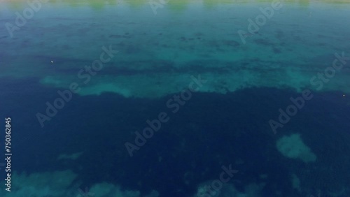 Wallpaper Mural Drone reveal shot of organised sandy bay with turquoise crystal clear water near lush pine tree forest Torontodigital.ca