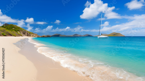 A Picturesque Day at a Serene British Virgin Islands Beach with Azure Sky, Crystalline Ocean, and Lush Vegetation © Tyler