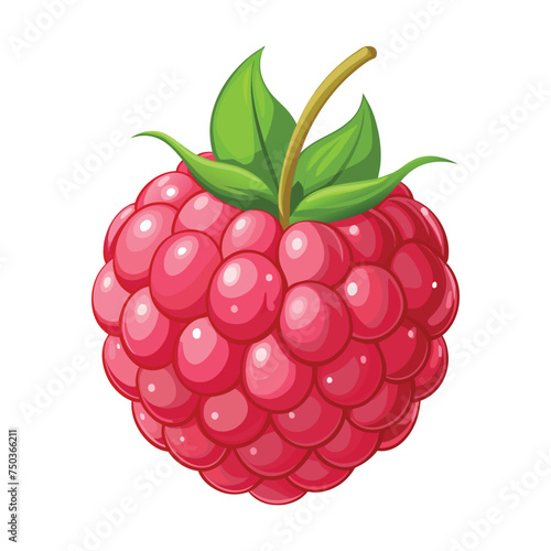Fresh Raspberry Fruit Illustration on White Background
