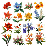 big set of floral flowers and leaves, png file