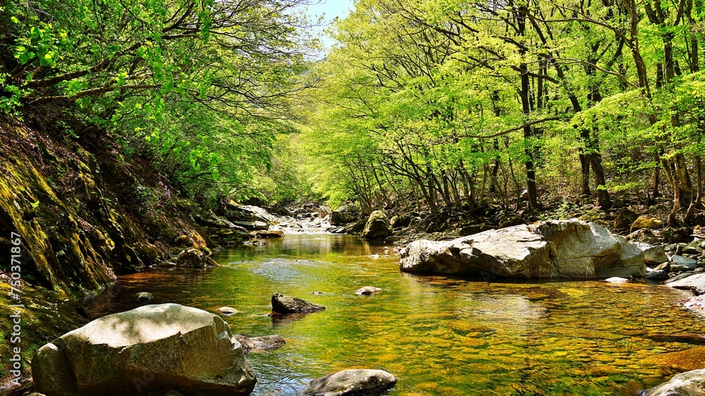 Wonderful spring scenery of Jiri Mountain in Korea Wonderful spring scenery of Jiri Mountain in Korea