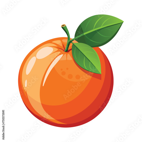 Ripe Blood Orange Fruit Illustration on White Background