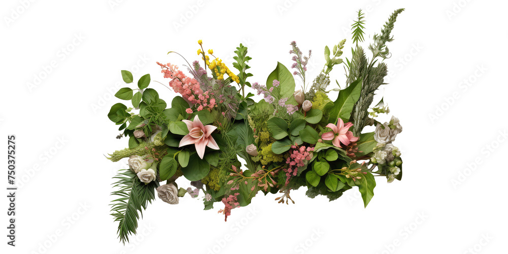 shrubs and perennial flowers isolated on transparent background