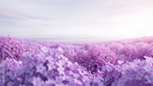 A breathtaking horizon filled with lilac blooms  their wavy forms stretching as far as the eye can see.