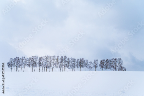 北海道美瑛の丘の雪景色 © Kazu8