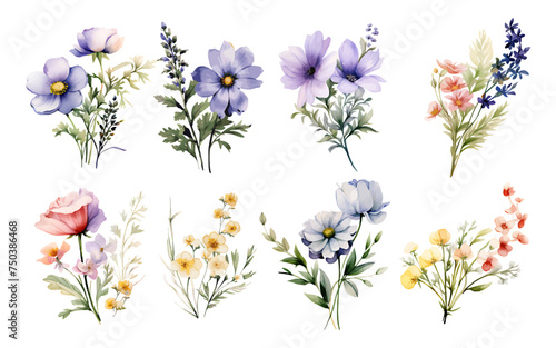 A set of watercolor flowers clipart isolated on a white background 