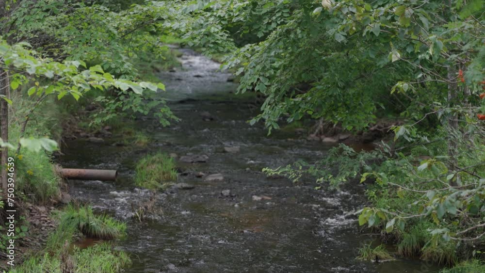A fast moving stream, enclosed with an abundance of trees and shrubbery on its sides and an inconspicuous dry rusted metal pipe, its end hanging over the water, on a summer afternoon A fast moving stream, enclosed with an abundance of trees and shrubbery on its sides and an inconspicuous dry rusted metal pipe, its end hanging over the water, on a summer afternoon
