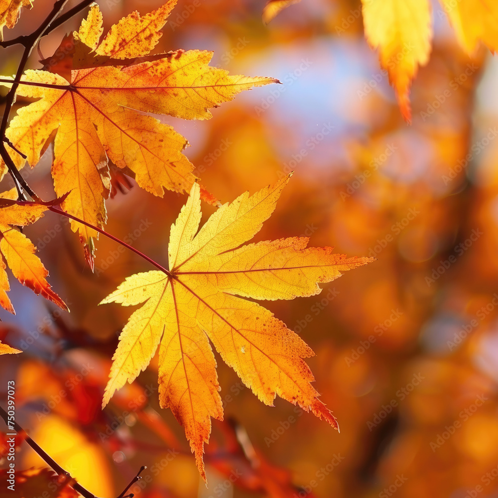 Crisp Autumn Leaves in Rust Orange: Setting Portrayal Crisp Autumn Leaves in Rust Orange: Setting Portrayal