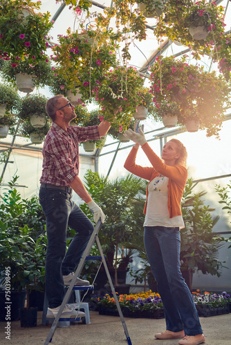 Man and woman working in a flower nursery greenhouse, taking care of plants and preparing it for selling.