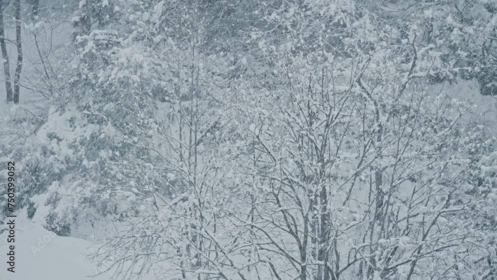 雪山にしんしんと降り続ける綺麗な雪