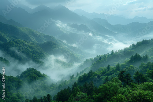 Lush Green Mountains Enveloped in Morning Mist