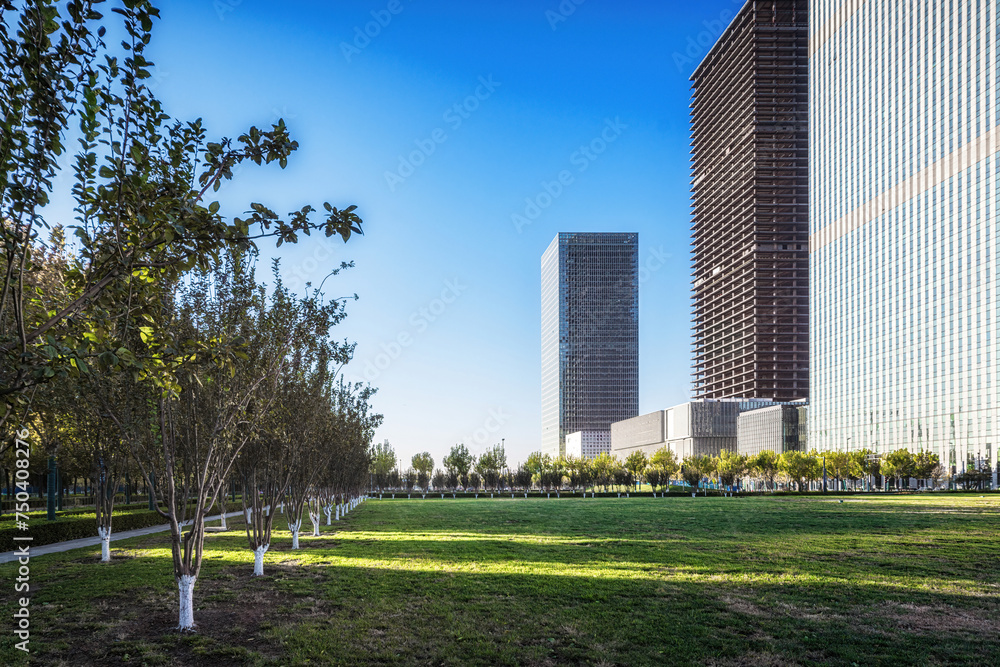 Sunlight Bathing Modern Skyscrapers and Urban Park